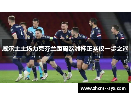 威尔士主场力克芬兰距离欧洲杯正赛仅一步之遥