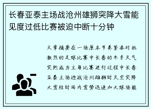 长春亚泰主场战沧州雄狮突降大雪能见度过低比赛被迫中断十分钟