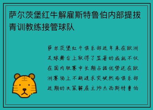 萨尔茨堡红牛解雇斯特鲁伯内部提拔青训教练接管球队 萨尔茨堡红牛解雇斯特鲁伯内部提拔青训教练接管球队